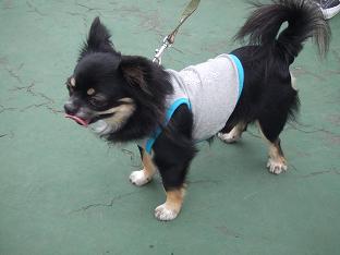 DSCF3829.JPG