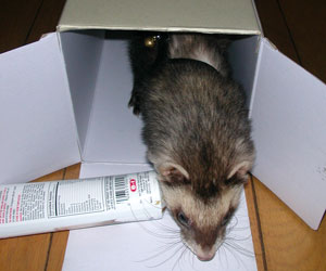 久保田さん登場