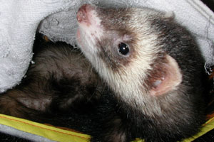 まだ眠い・・・。