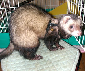 見返りもにゃか♪