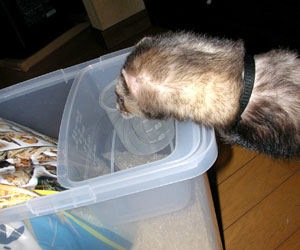 それなぁ～に？