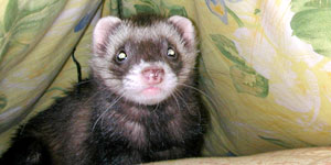 オイラでした♪