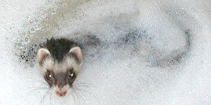 お風呂入っちゃった！