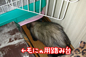 手抜き工事調査♪