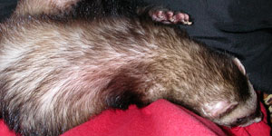 あぁ～まったり♪