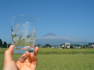 富士山グラス