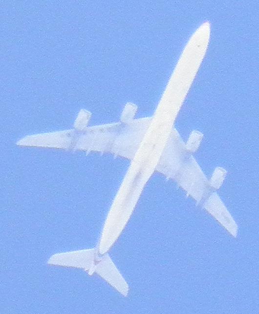 どこかの旅客機