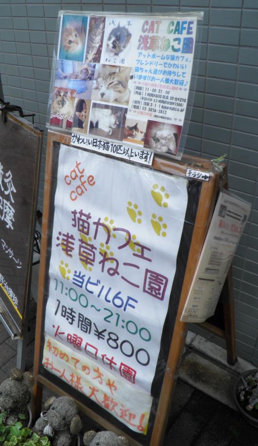 ねこカフェ