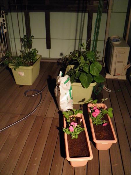 我が家の家庭菜園