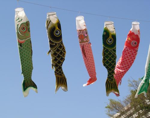 防災団地の鯉のぼり