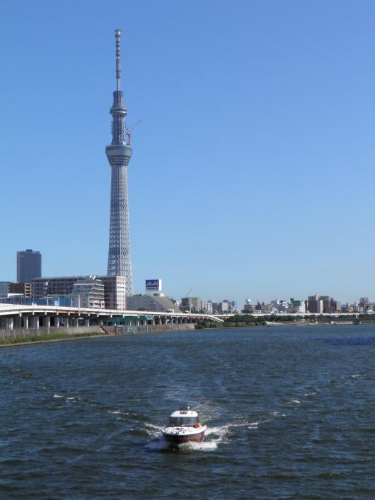 スカイツリーと船