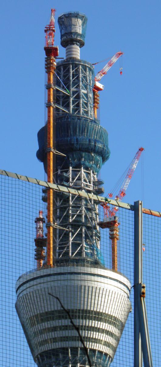 隅田公園から見たスカイツリー