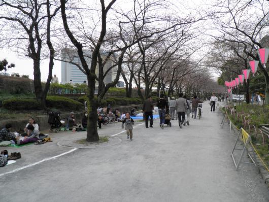 自粛中のお花見会場