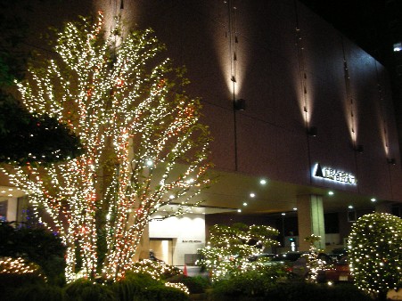 dorimi２００７ 011.jpg