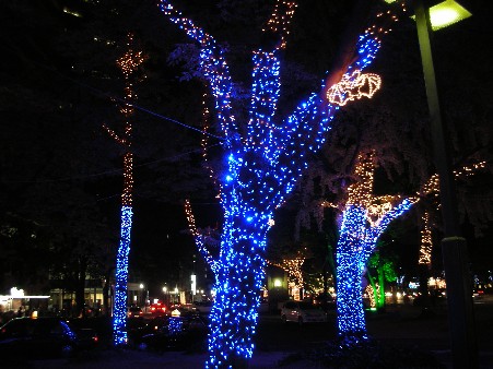 dorimi２００７ 008.jpg