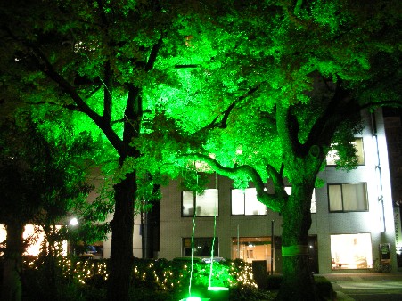 dorimi２００７ 018.jpg