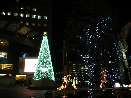 dorimi２００７ 006.jpg