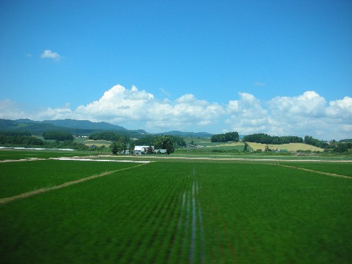 北海道 020.jpg