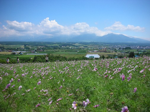 北海道 031.jpg