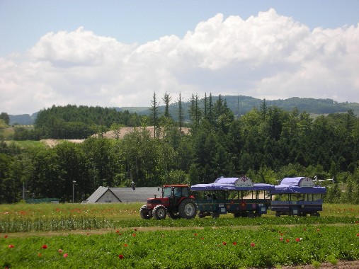 北海道 033.jpg