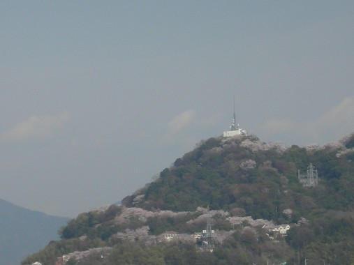 黄金山 007.jpg