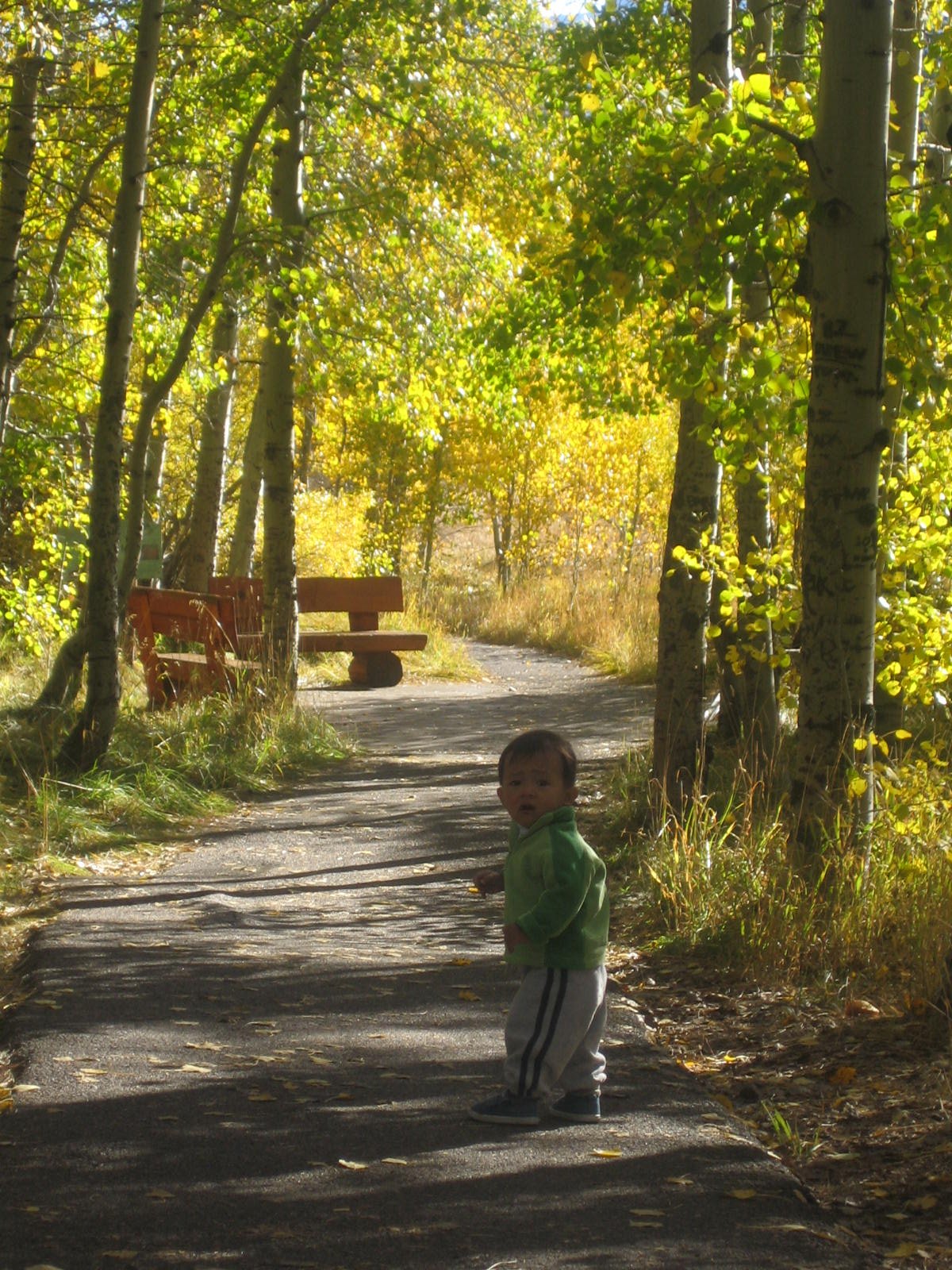 Rainbow Trail