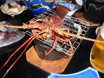 Uminoniwa