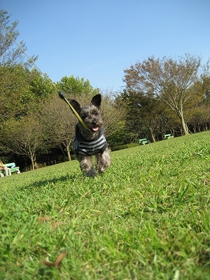 青葉の森公園に行った模様