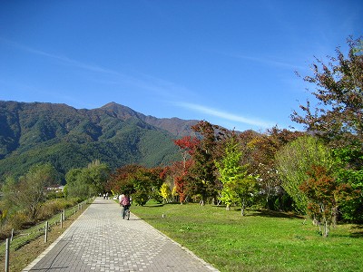 紅葉はまだはやかった・・・。