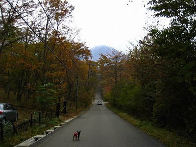 朝の散歩と富士山