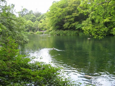 まずは公園３