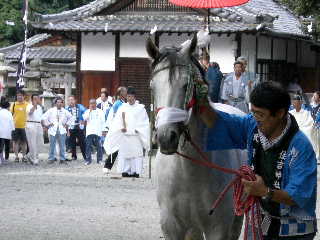 馬駆神事・お馬ちゃん.JPG