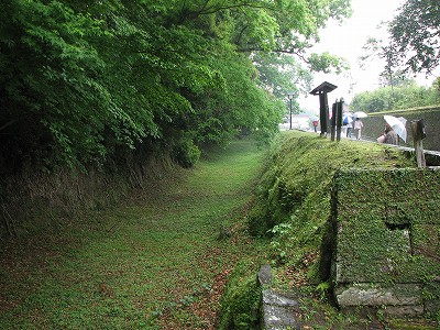 飫肥城8242