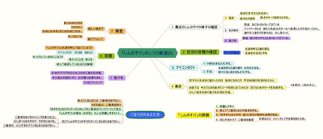 しつけ教室　２