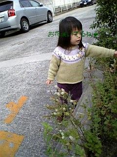 秋らしい・・・かな？