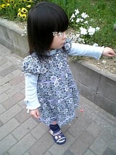 お花、可愛い～♪