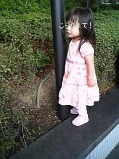 未だ帰りたくないよぉ～