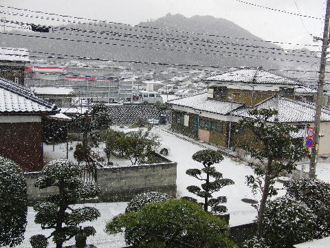 20110116-2.jpg