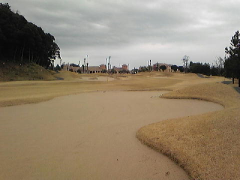 20080219-1.jpg