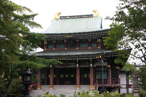 20090823-2.jpg