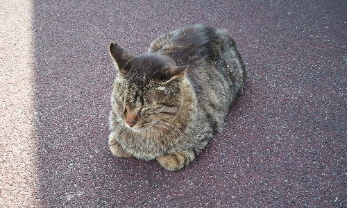 2011-05-05 14.32.54.jpg