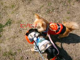 ヒソヒソ＞＞＞