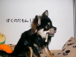 これは僕の！！