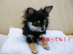 心配だなぁ。。。