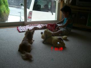 いっきゅうの日課