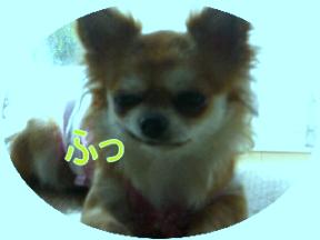 笑っちゃうわ・・・