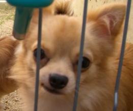 いっきゅうニヒル。。