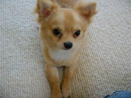 サマーカットいっきゅう