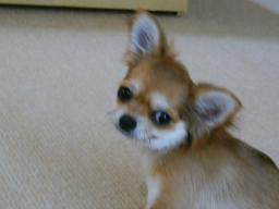 春スマイル＞＞＞