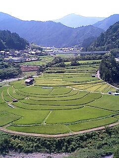 美しい千年田